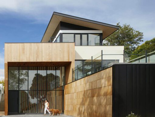 A dog and its owner in front of the house.